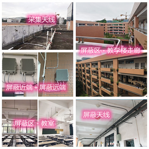  巧家某中学考场屏蔽案例（数字信令级）